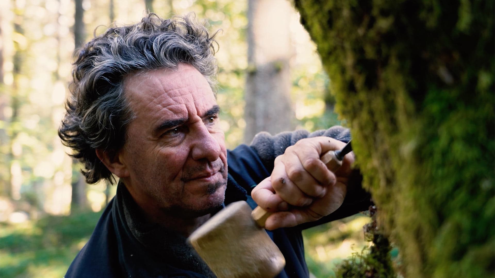 Maestro artigiano a Longarone